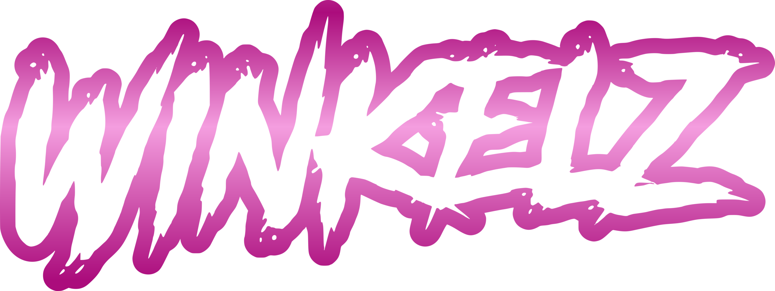 Winkelz Drift Shop